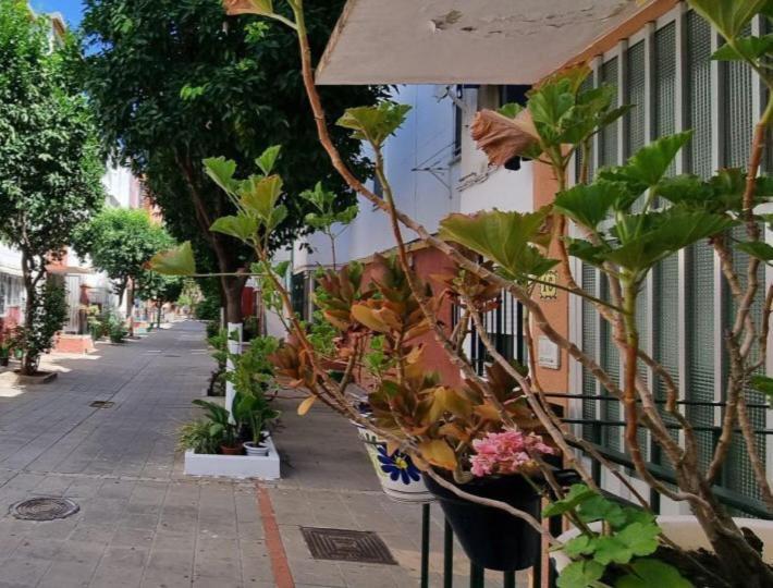 Apartament Apartamento Triana Sewilla Zewnętrze zdjęcie